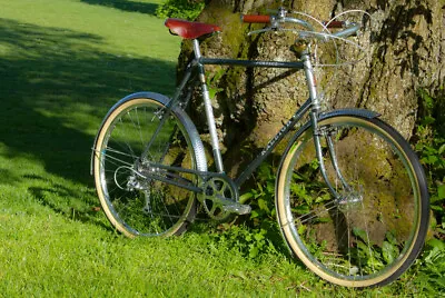 1985 Raleigh Portage - Updated/Restored 650b Vintage Touring Legend (59cm C-T) • $2325