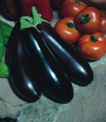 Vegetable - Aubergine - Long Purple  - 250 Seeds - Economy • £2.05