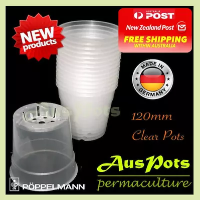 120mm Clear Plastic Pots Round -  Phalaenopsis / Orchid Propagation Seedlings • $21.90