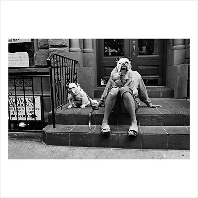 SIGNED Elliott Erwitt Print - Dogs On Stoop. New York - Rare Photo Last Signed • $545