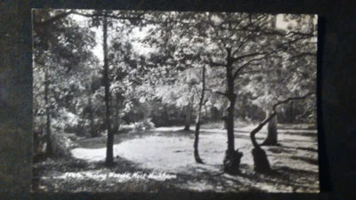 £0.88 • Buy Beautiful Older Postcard West Wickham Spring Woods Croydon Bromley Park Gel. 1966 Uk54