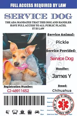$11.99 • Buy Service Dog Card ID Assistance Animal Badge ADA ESA With Barcode