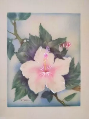 Vintage Unframed Signed Tip Freeman Original Airbrush Watercolor Art Honolulu • $237.45