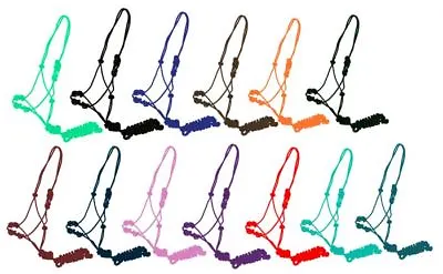 Clinician Cowboy Knot Rope Horse Training Halter W/ Removable 10' Lead Rope  • $11.52