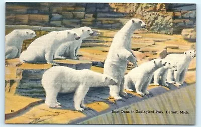 $7.95 • Buy POSTCARD Bear Dens In Zoological Park Detroit Michigan Zoo Polar Bears Linen