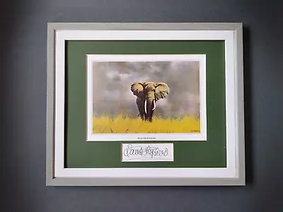 David Shepherd Print 'Wise Old Elephant' Signature In The Mount FRAMED • £41.50