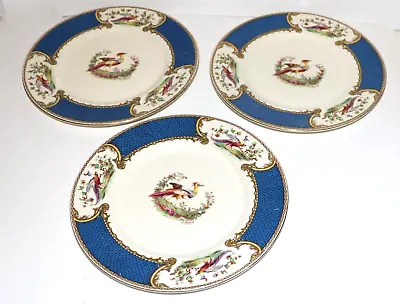 Myott Staffordshire Chelsea Bird Blue Three Enameled Dinner Plates 10 5/8  • $67