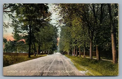 Mount Holly Nj Garden Street Antique Postcard  • $13.99