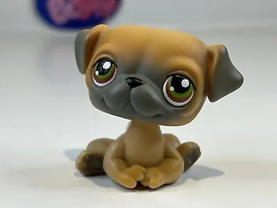 $3.75 • Buy PUG DOG #2 - Authentic Littlest Pet Shop - Hasbro LPS