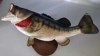 Vintage Real Skin Largemouth Bass Fish Mount Trophy Taxidermy 22  FL. • $150