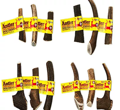 £25.99 • Buy NOVA ANTLER BAR : Small, Medium Or Large Dog Chews Stag Deer Horn Treats Feed