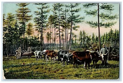 C1910 From Forest To Mill Mobile Ala Lumber Exportation Field Tuck Son Postcard • $14.98