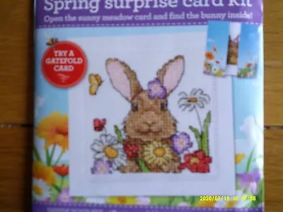 Spring Surprise. Rabbit In Gatefold Card.  Greetings Card Cross Stitch Kit. • £0.99