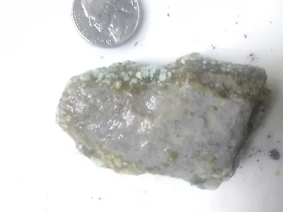 Natural Spiderweb Variscite Rough For Lapidary Nevada 57g • $125