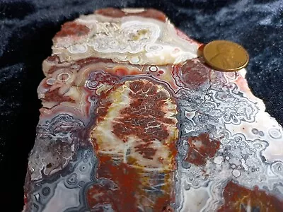 Mexican Laguna Crazy Lace Agate Slab 231 Grams • $28