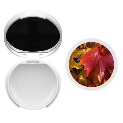 'Autumn Leaves' Lip Balm With Mirror (BM00005744) • £4.99