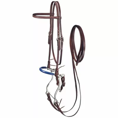  Browband Bridle W/ Hackamore • $82