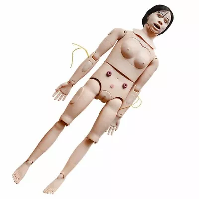 $519.80 • Buy Patient Care Manikin Model Multifunctional Nurse Training Mannequin Male Female