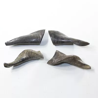 4 Small Polished Goat Horns #2431 Natural Colored • $23