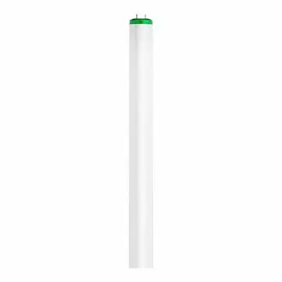 32-Watt 4 Ft. Alto Linear T8 Fluorescent Tube Light Bulb Cool White (4100K) • $17.54