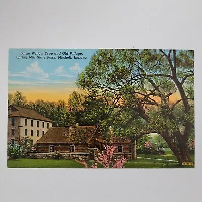 Large Willow Tree Old Village Spring Mill Mitchell IN Indiana Vintage Postcard • $4.75