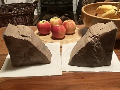 £100 • Buy Fossilised Petrified Tree Bookends