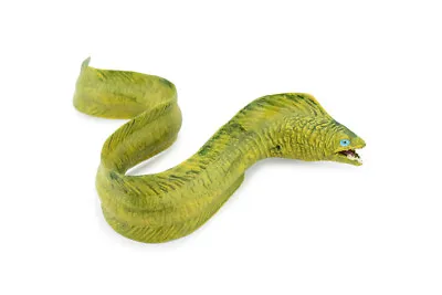 Moray Eel Realistic Toy Figure Model Ocean Replica Gift 7  CH286 BB127 • $14.89