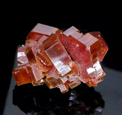 Large Bright Red Vanadinite Crystal Cluster - Mibladen Morocco! • $300