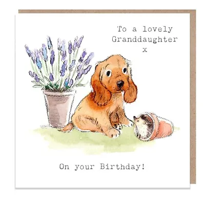 Lovely Granddaughter Dog Birthday Card – Cocker Spaniel Illustrated Card • £2.75