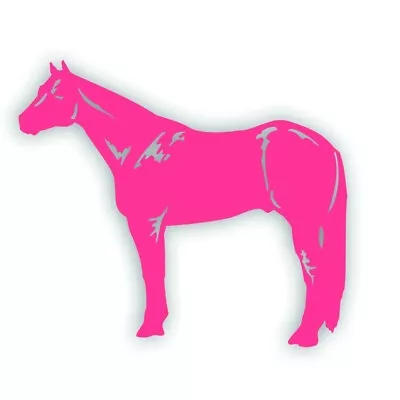 H QUARTER HORSE Mare Stallion Standing Decal For Tack Box Truck Or Trailer PINK • $9.93