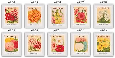 4754-63 4763 Vintage Seed Packets 10 Remounted Singles Set 2013 MNH - Buy Now • £45.56