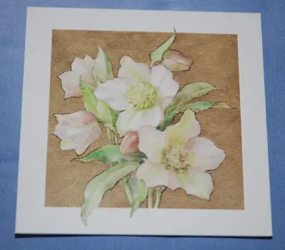 Margaret Tarrant: LENTEN ROSES Blank Greeting Card Spring Easter NEW & Sealed • £3.99