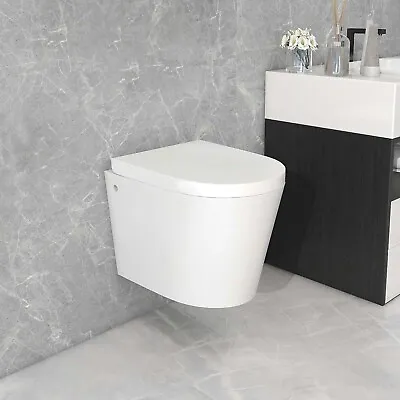 Rimless Wall Hung Toilet Soft Close Seat Back To Wall WC Pan & Concealed Cistern • £149.99