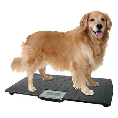 $159.99 • Buy Large Digital Pet Scale Veterinary Animal Weight Pet Dog Cat Black NEW