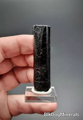 Tall Black Tourmaline Crystal - Homestake Pass Jefferson Co. Montana • $85