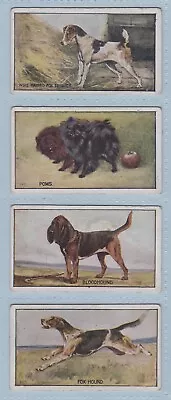 Cigarette Cards - Types Of Dogs (Murray Sons & Co.) - 7 Cards • £14.99