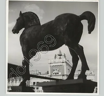 VTG 1960s Horse Statue Venice Italy Waagenaar Press Photo PIX • $40