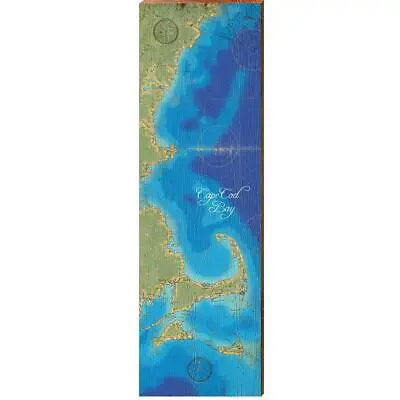 Cape Cod Bay And Surrounding Areas Massachusetts Topographical Styled Chart • $19.95