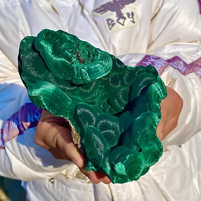 2.1LB Natural Malachite Slice Crystal Luster Quartz Mineral Specimen Healing • $0.99