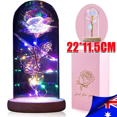 $27.89 • Buy Rose In Glass Dome Eternal Forever Flower LED Light Up Valentine Wedding Gift