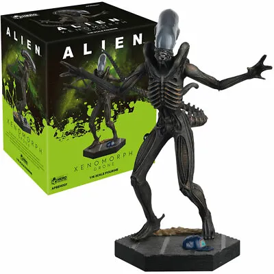 Alien And Predator Collection Xenomorph Drone Figure With Magazine 1:16 Figure • £16.99