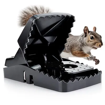 EXuby Squirrel Trap (2 Pack) - Powerful Spring - 96% Instant Kill -Easy Setup • $49.99