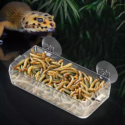 Reptile Feeder Chameleon Bowl Anti-Escape Food Dish Bowl With Suction Cup • $9.28