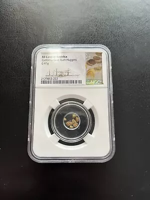 SS CENTRAL AMERICA NGC 0.47 Grams Of California Gold Rush Nuggets • $120