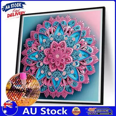 AU 5D DIY Partial Special Shaped Drill Diamond Painting Mandara Home Decor (XD12 • $9.99