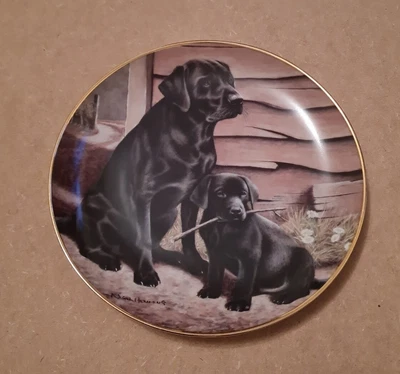 £3 • Buy Franklin Mint Black Labrador Dogs Like Father Like Son Plate By Nigel Hemming