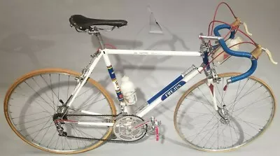 Frejus 60's Road Bike 55cm Steel Campagnolo Mafac Chrome Head Lugs & Fork Ends • $3500