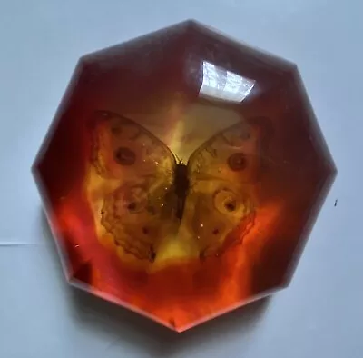 Butterfly In Orange Coloured Resin Specimen Paperweight • £10