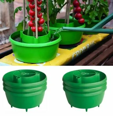 £4.35 • Buy Tomato Plant Halos Pot Grow Bag Watering Plastic Round Halos Grow Tomatos Seed  