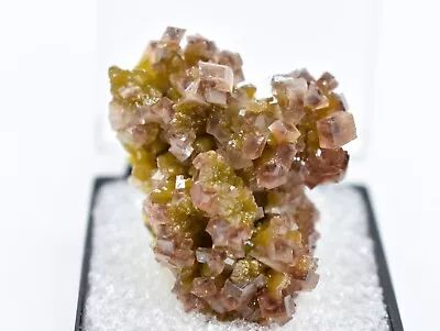 Mimetite Calcite Las Minerales Mine Santa Eulalia Mexico Thumbnail • $45